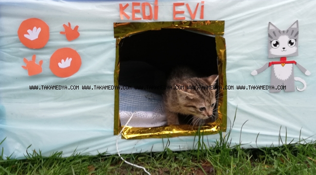 BAYRAMPAŞA’DA KEDİLERİN DE BİR ‘YUVASI’ OLDU