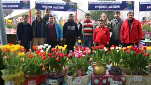 Özel öğrenciler lale yetiştirip, festivalde yarıştı