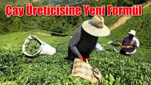 Çay Üreticisi Yarını Bekliyor