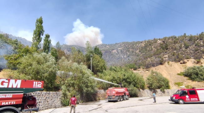 Tunceli'deki yangınların tamamı kontrol altında