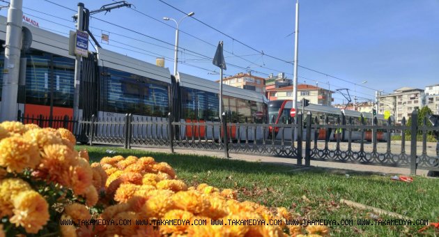 Güngören Kış Çicekleriyle Renkleniyor.