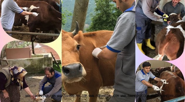 Sonbahar Dönemi Aşılama Kampanyaları Devam Ediyor