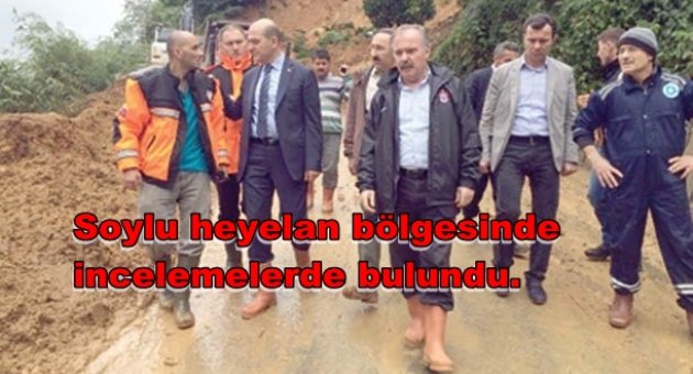 SOYLU HEYELAN BÖLGESİNDE