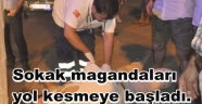 GÜNGÖREN'DE MAGANDALAR YOL KESMEYE BAŞLADI